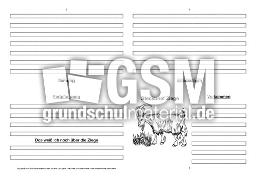 Ziege-Faltbuch-vierseitig-4.pdf